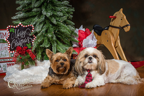 CDL_2663-2-Edit
