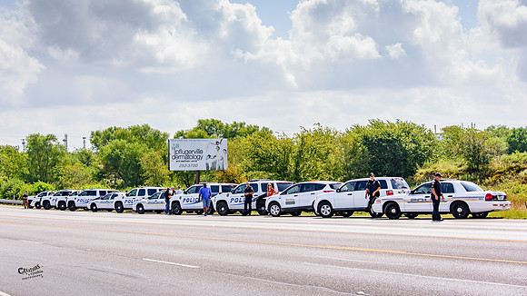 CDL_4481-2