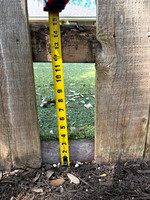 IMG_2288 Our back neighbor raised his yard 4 + inches above our yard.