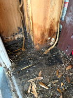 IMG_3347 Our two sheds flooded. Filled with mud and ruined 30 plus wide cedar fence boards