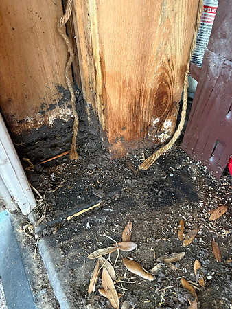 IMG_3347 Our two sheds flooded. Filled with mud and ruined 30 plus wide cedar fence boards