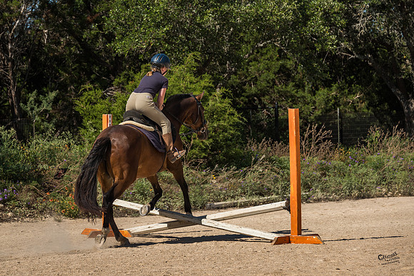 CLR_0444