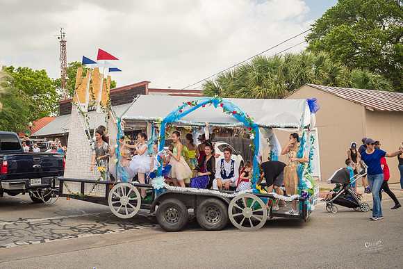 CDL20135