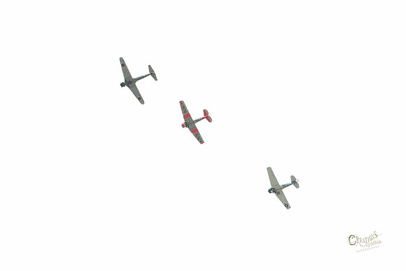 CDL_3220