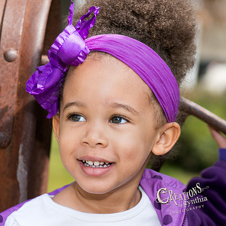 CDL_6820-