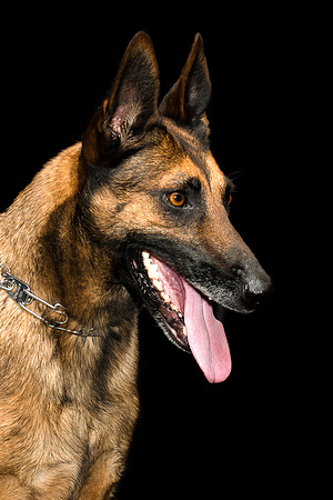 CDL_8783-Inka